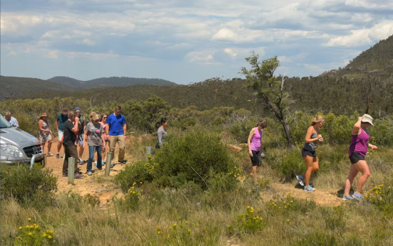 The Blue Mountains World Heritage private guided hike - Image 4